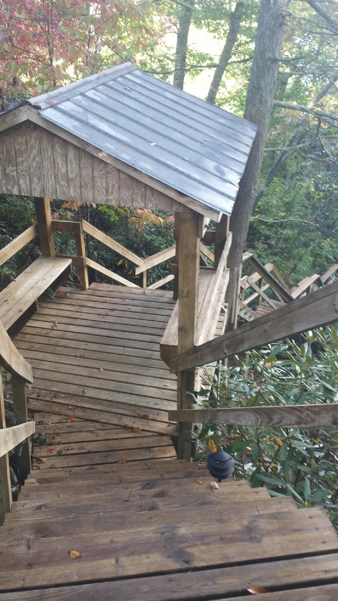 Metal roofed shelter over wooden steps on a wooded walkway — Skylight Repair & Installation work by our crew in Forest Hills
